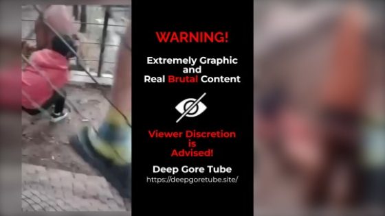 Boy mauled by Siberian tiger at Baghdad zoo Iraq Photo 0001 Video Thumb