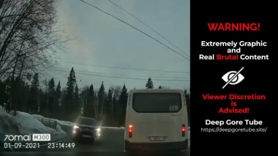 Fatal minibus crash near Sofrino leaves two dead in Moscow Region Russia Photo 0001 Video Thumb