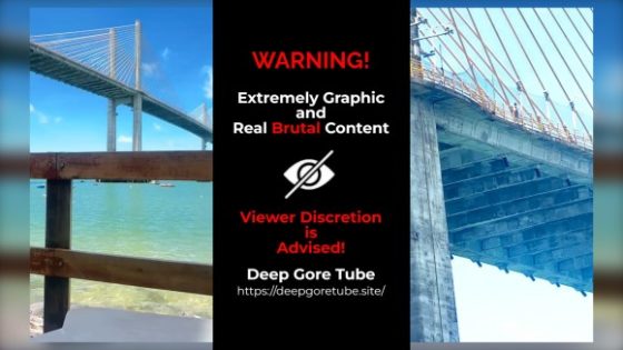 Man jumps from bridge in apparent suicide attempt Photo 0001 Video Thumb