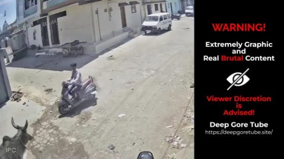 Stray bull mauls scooter rider in Veraval Gujarat India Photo 0001 Video Thumb