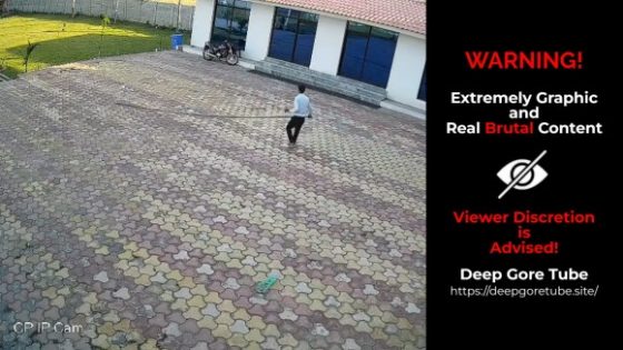Hotel worker electrocuted to death while chasing monkey at resort in India Photo 0001 Video Thumb