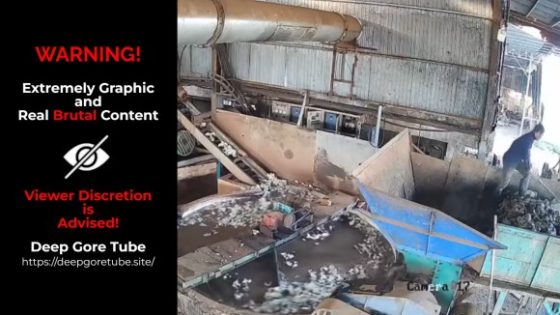 Worker crushed by machine in factory incident Photo 0001 Video Thumb