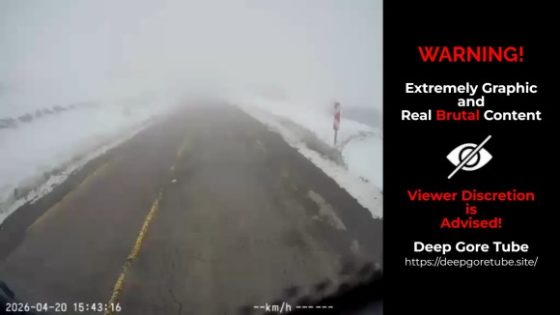 Dashcam captures head-on truck crash during foggy passing attempt in Savsat Turkey Photo 0001 Video Thumb