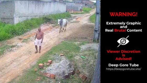 Bull charges man from behind and throws him into the air in Paudalho Brazil Photo 0001 Video Thumb