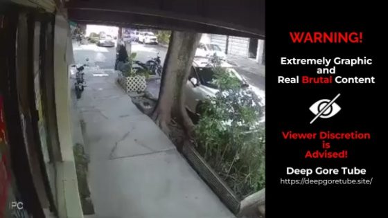 Driver crashes into parked car in Mexico after failing to brake Photo 0001 Video Thumb